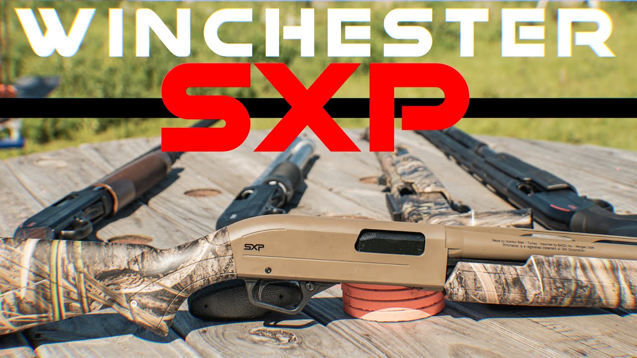 Лучший помповый дробовик за свои деньги? Обзор помпового дробовика Winchester SXP 12ga.