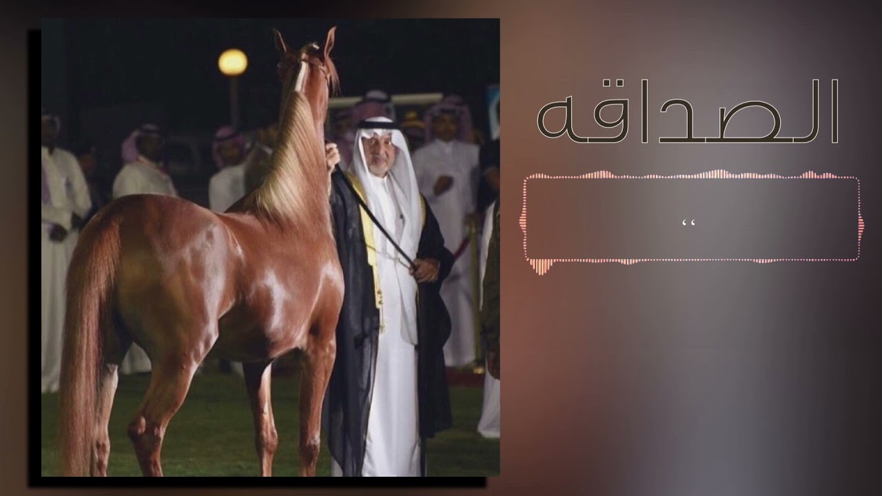 شيلة الصداقه، كلمات الشاعر صالح جازي الرويثي، اداء المنشد نشمي الشلاحي.