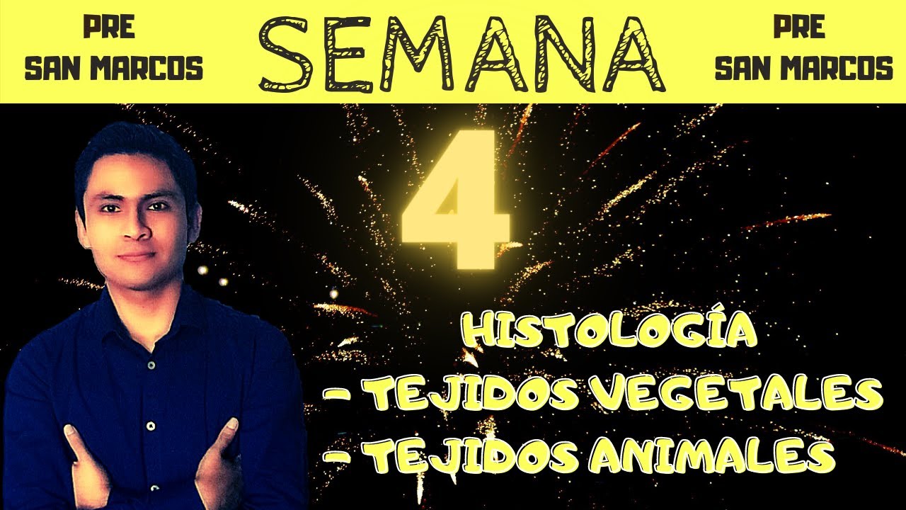 HISTOLOGÍA - SEMANA 4 PRE SAN MARCOS - VEGETAL - ANIMAL - EPITELIAL - CONECTIV - MUSCULAR - NERVIOSO