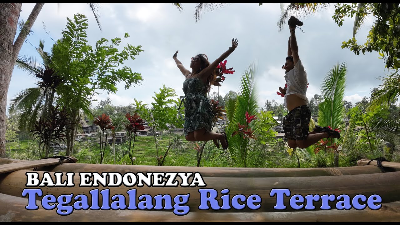 ENDONEZYA BALİ Tegallalang Rice Terrace.