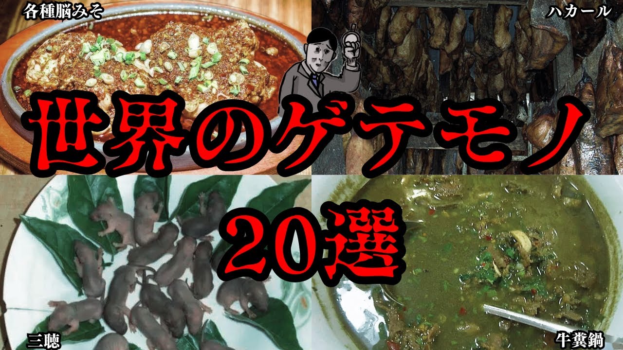 【総集編】世界のゲテモノ20選【ゆっくり解説】
