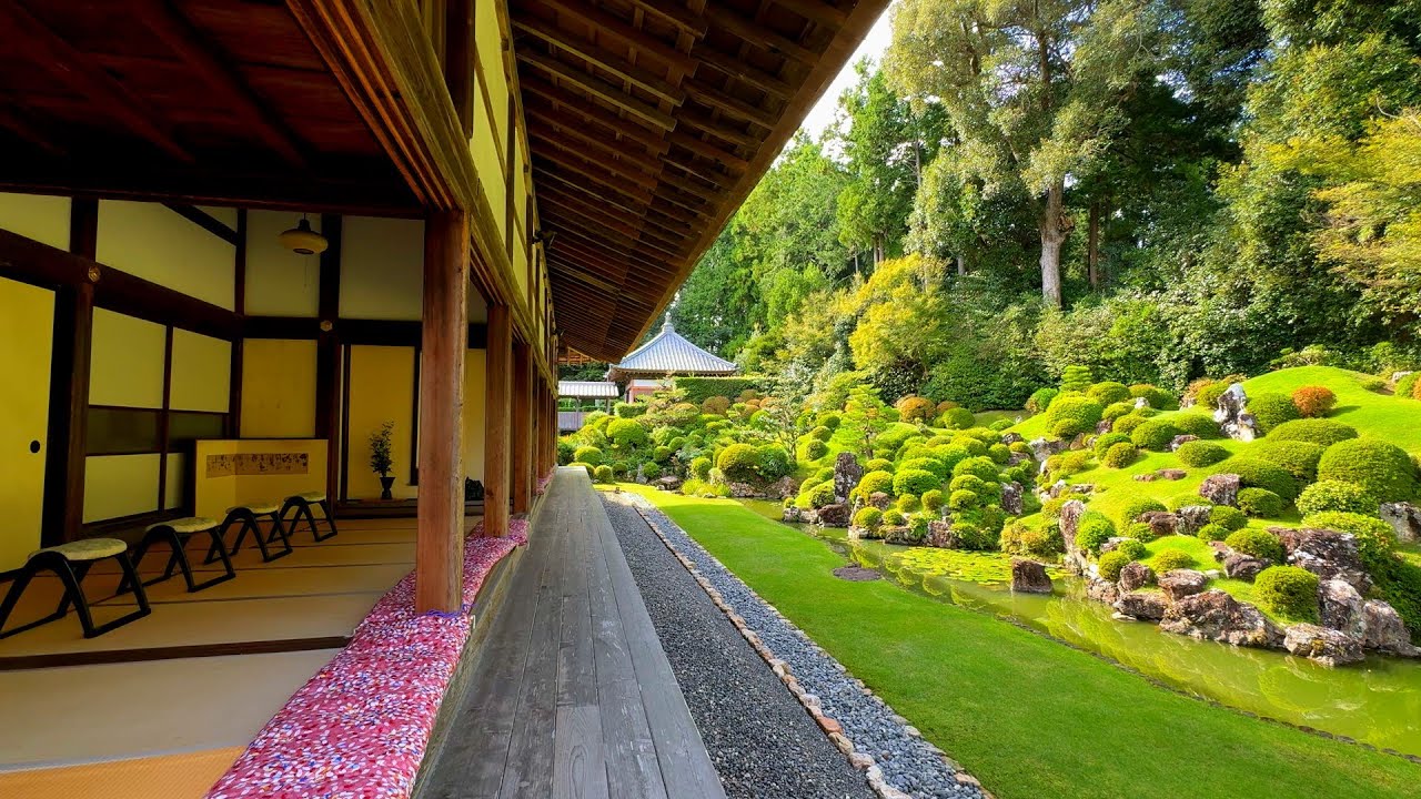 【龍のお寺】美しい日本の庭園 in 龍潭寺（静岡県浜松市）