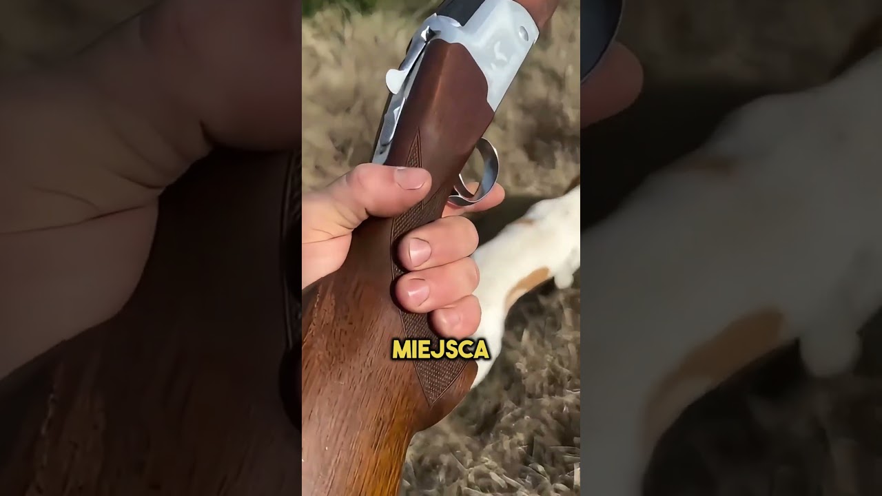 Sekret ukryty w drżeniu psa