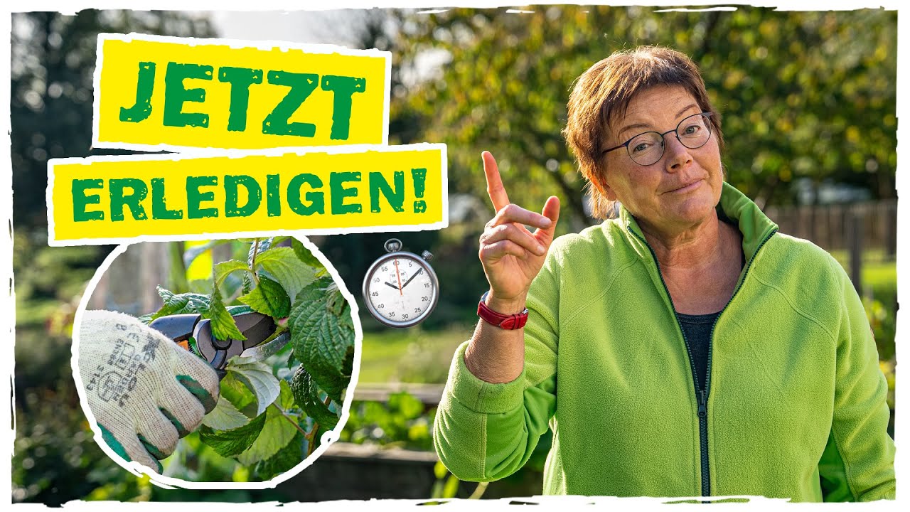 GARTENARBEIT IM OKTOBER: Das ist jetzt zu tun 🍂🗓️