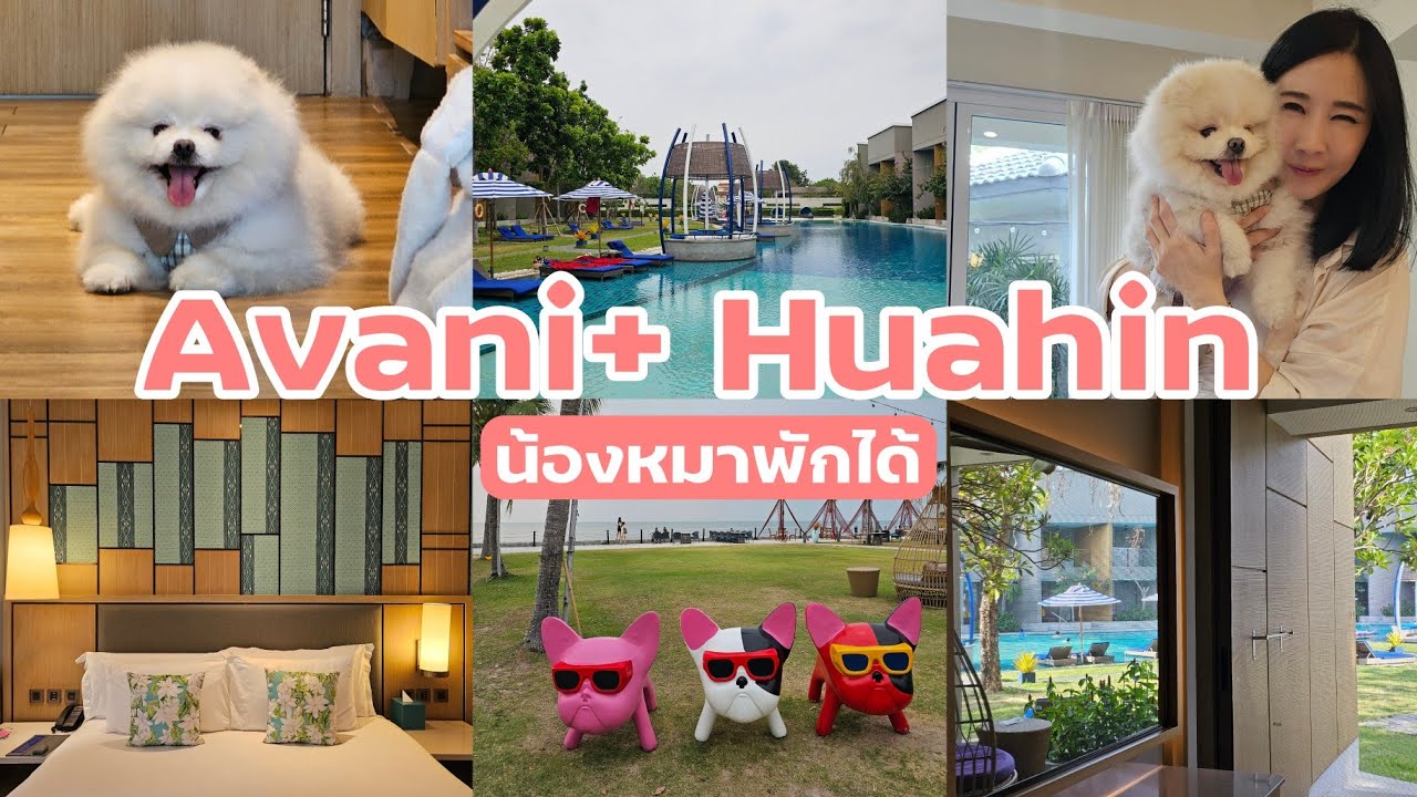 รีวิว Avani+ หัวหิน น้องหมาพักได้ ห้อง Garden Access พาดูบุฟเฟต์อาหารเช้า || NonNunNee : โน่นนั่นนี่