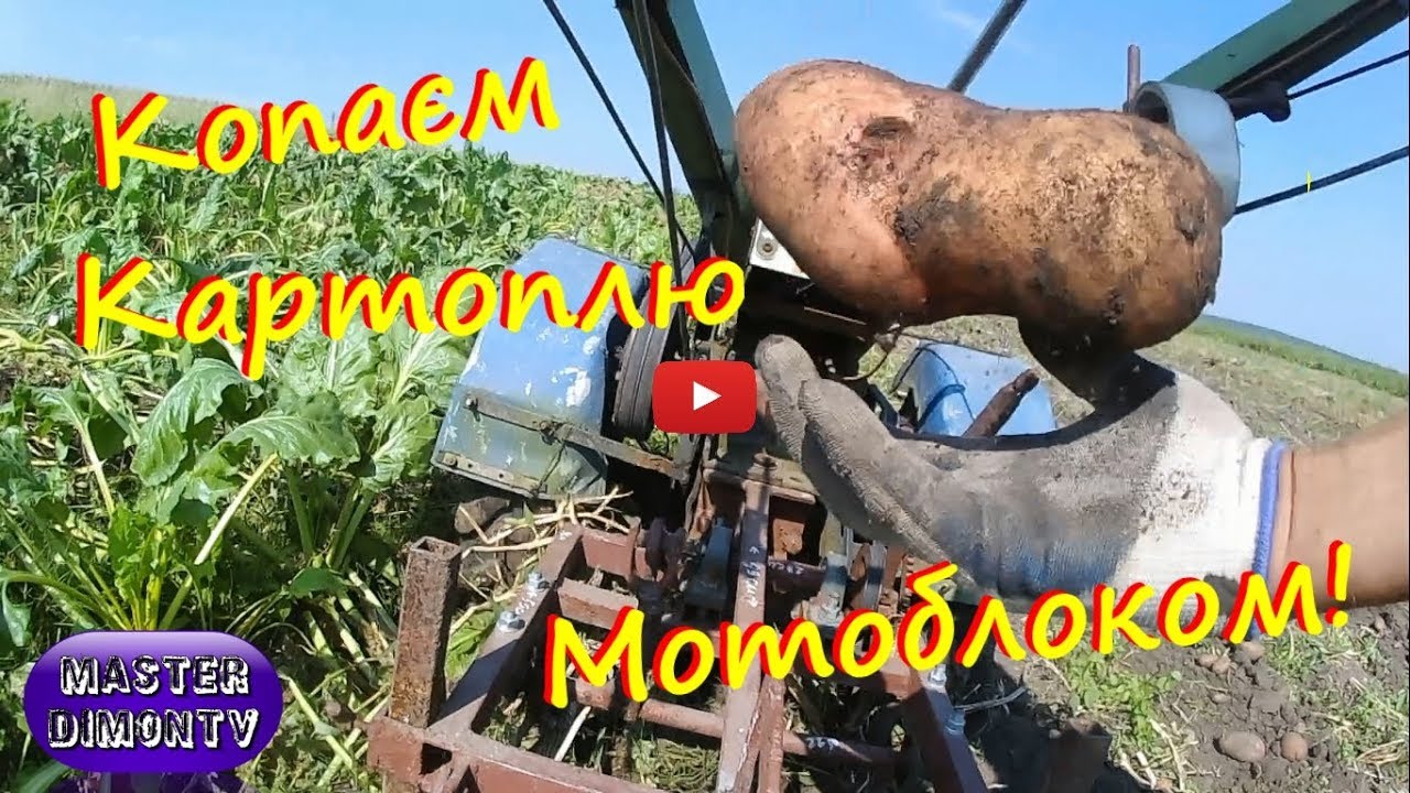 Копання картоплі Мотоблоком 2018