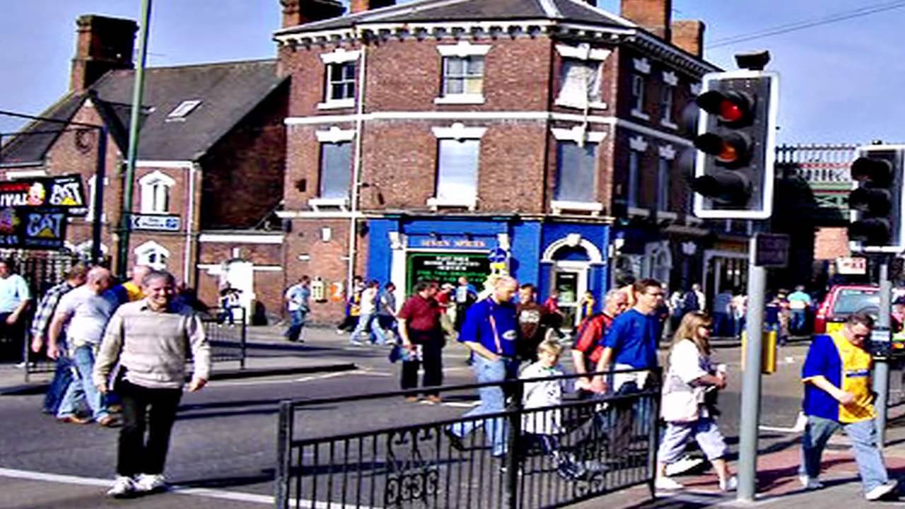 Shrews Tales and More