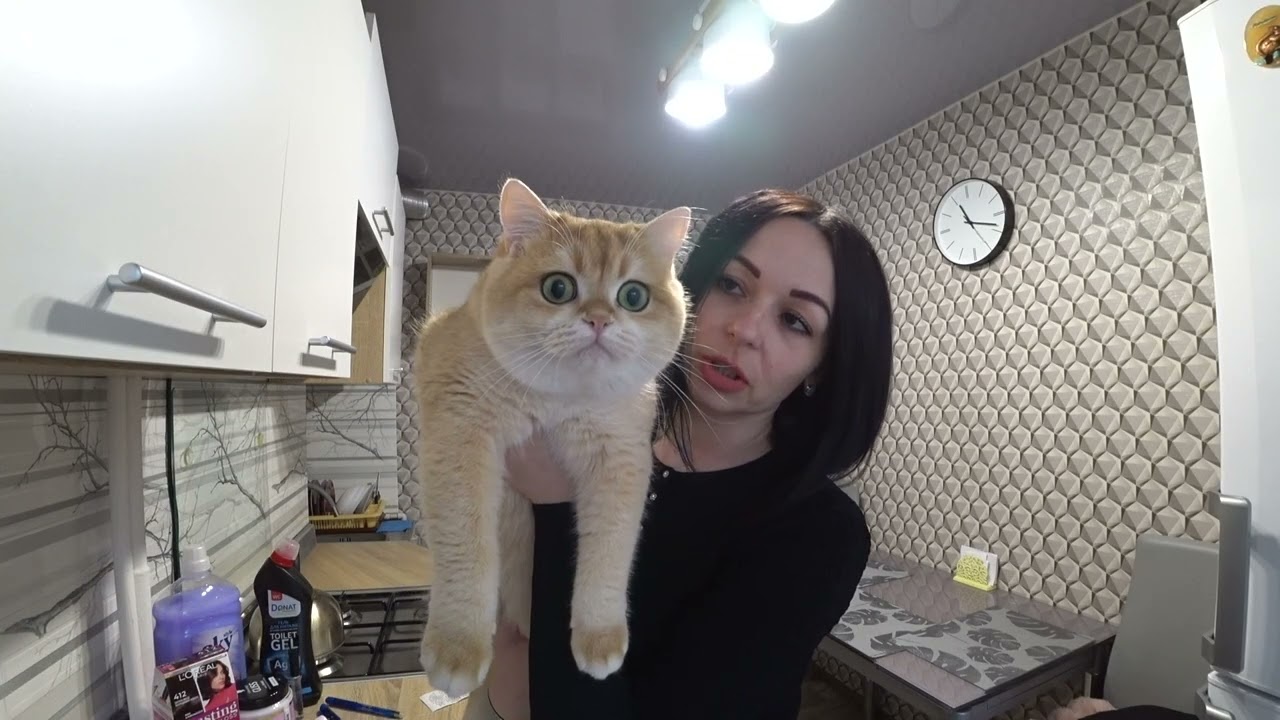 Покупки ЕВА. АТБ. Sinsay.