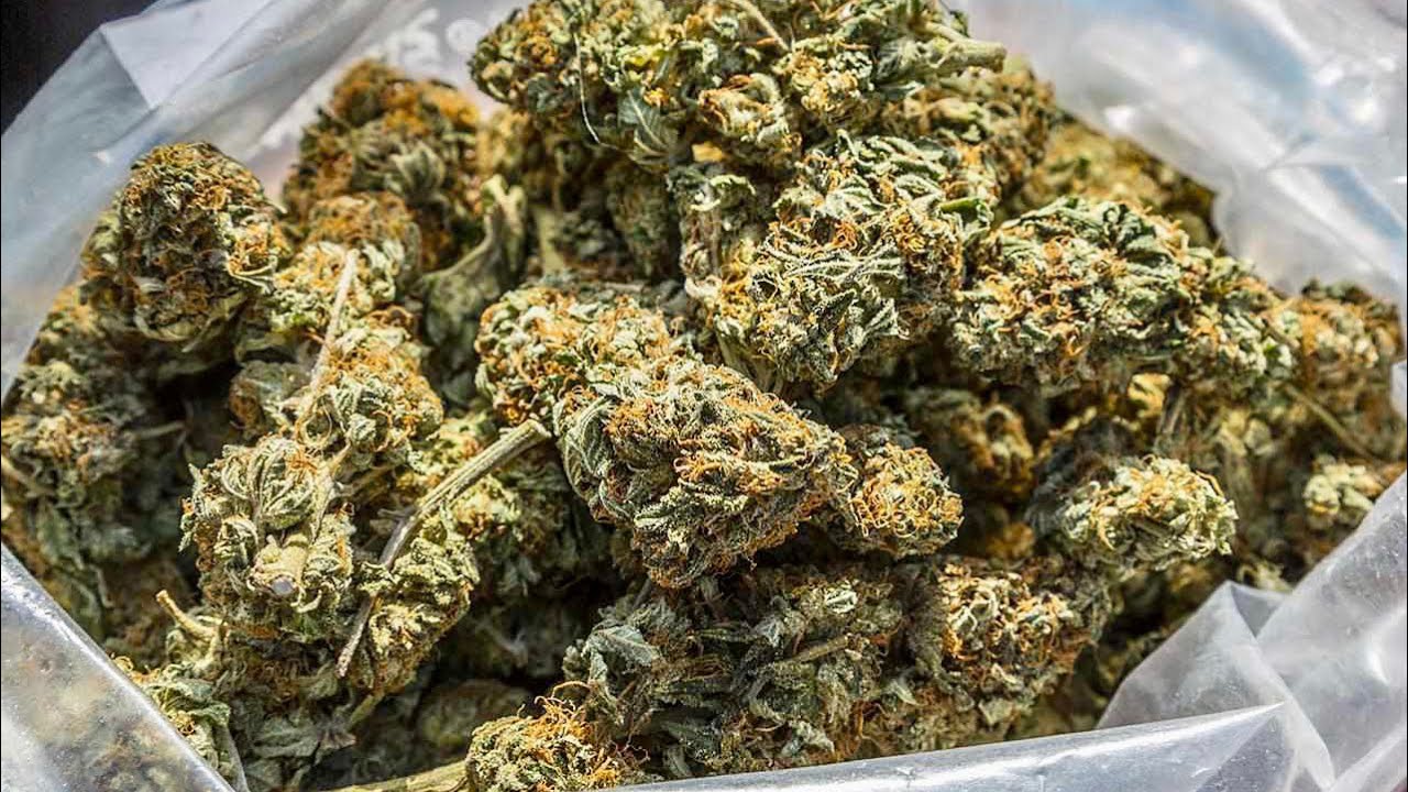 How i ended up in a cannabis store in Austria