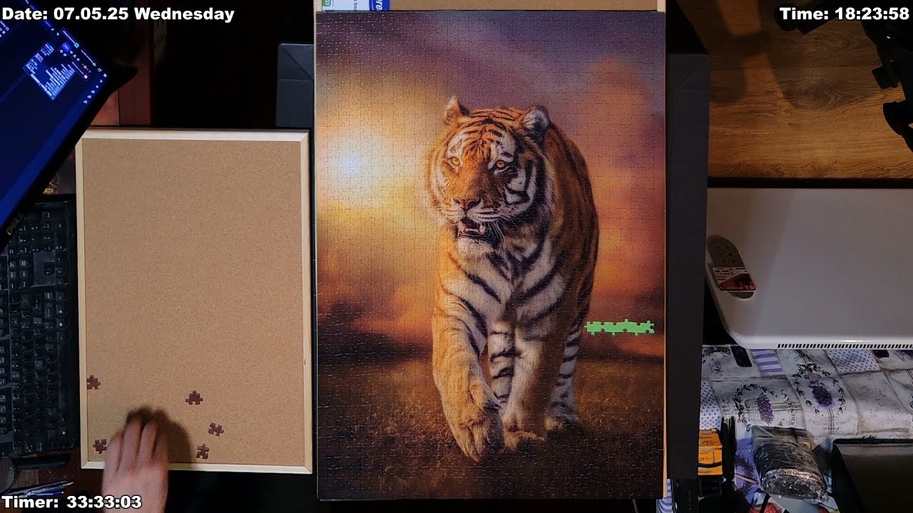 Clementoni Puzzle Tiger 1500 pieces in 10 minutes 7.05.2025