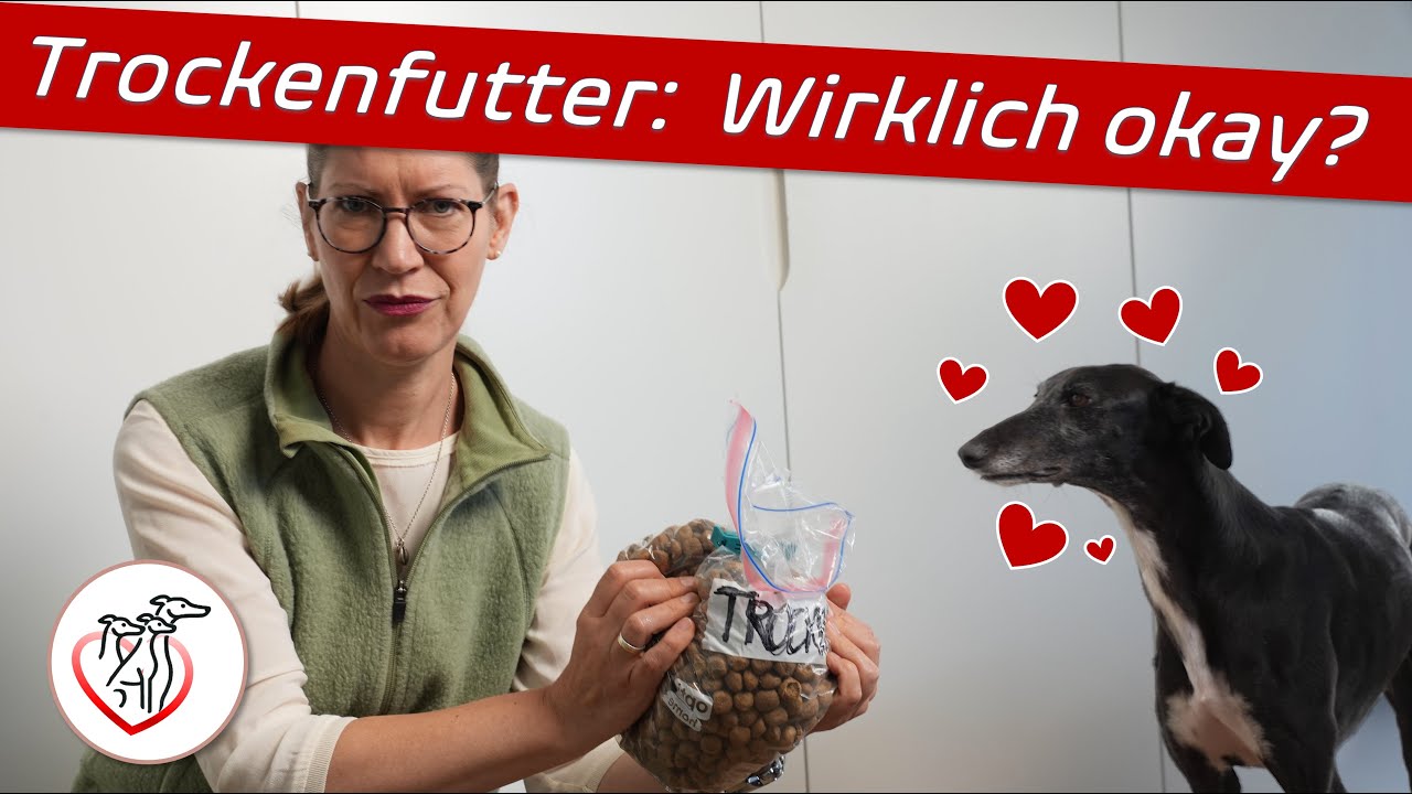 Kann trocken wirklich so verkehrt sein? Trockenfutterarten im Experiment