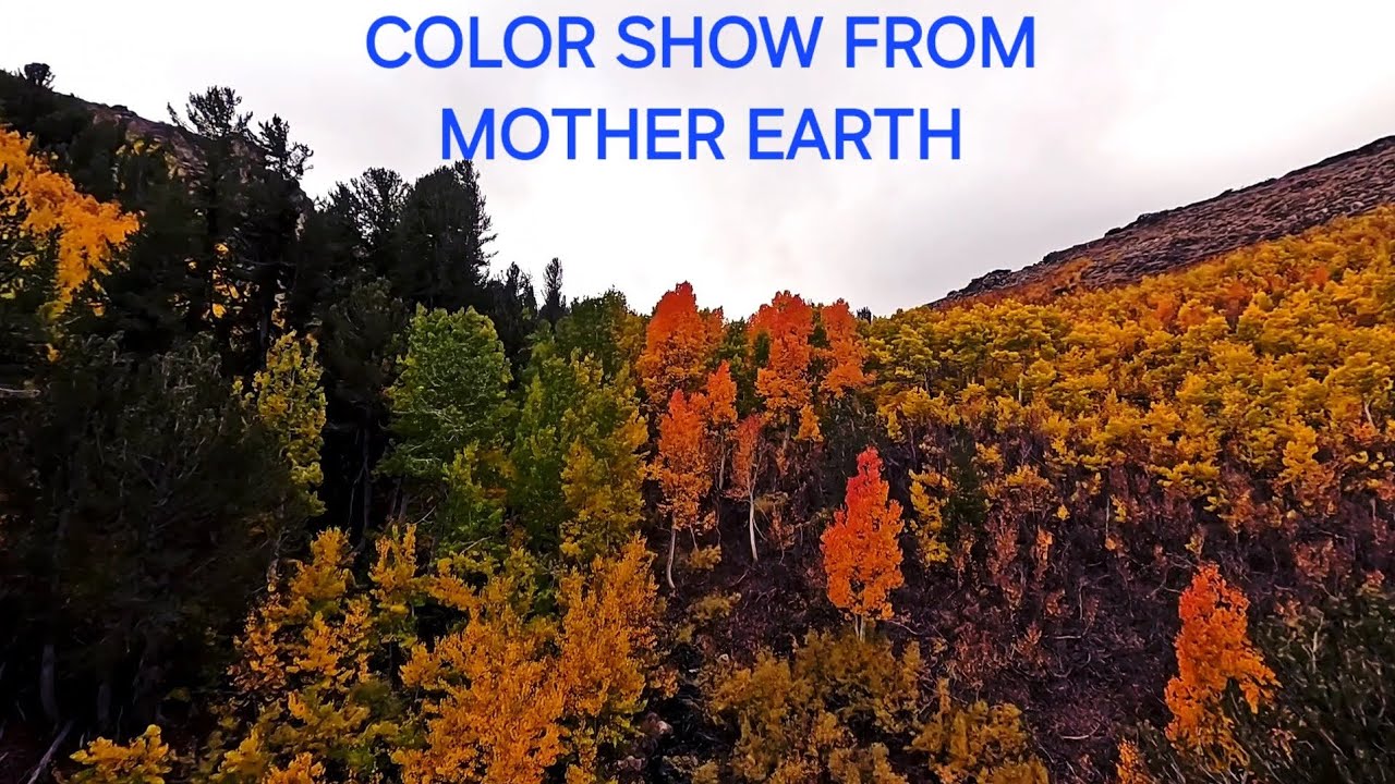 Beautiful Autumn Colors