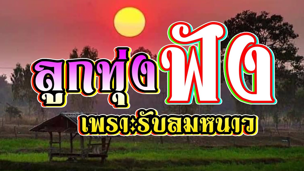 ลูกทุ่งเพลงเพราะฟังรับลมหนาว