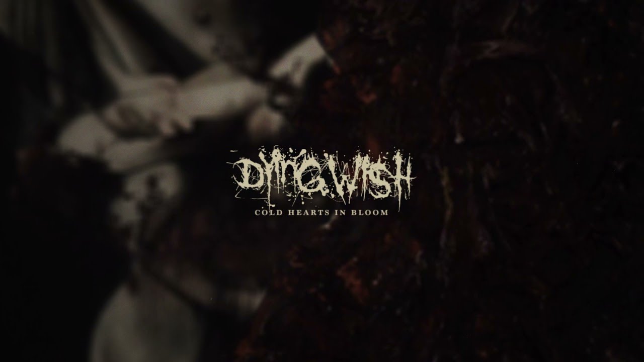 Dying Wish - Cold Hearts In Bloom (Official Audio Stream)