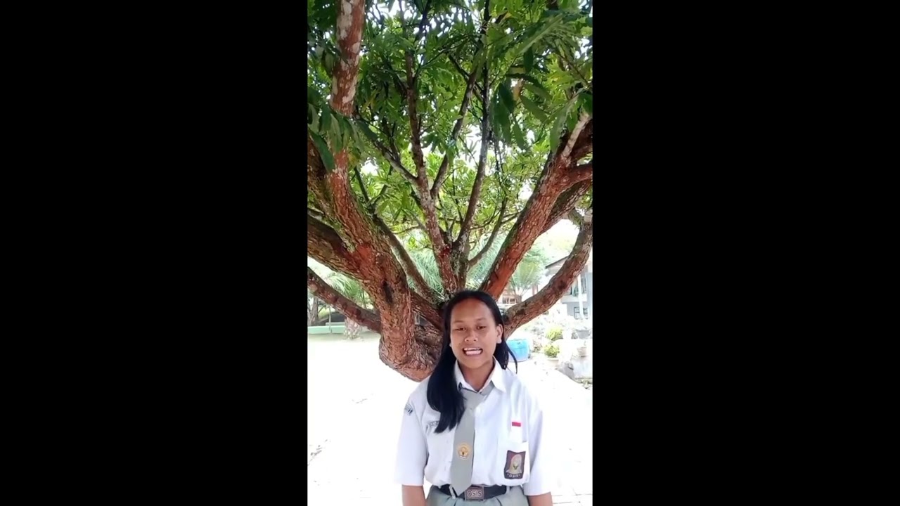 Tugas bahasa Indonesia tingkat lanjut dari ibu.N.NAIBAHO yaitu membuat video pantun 