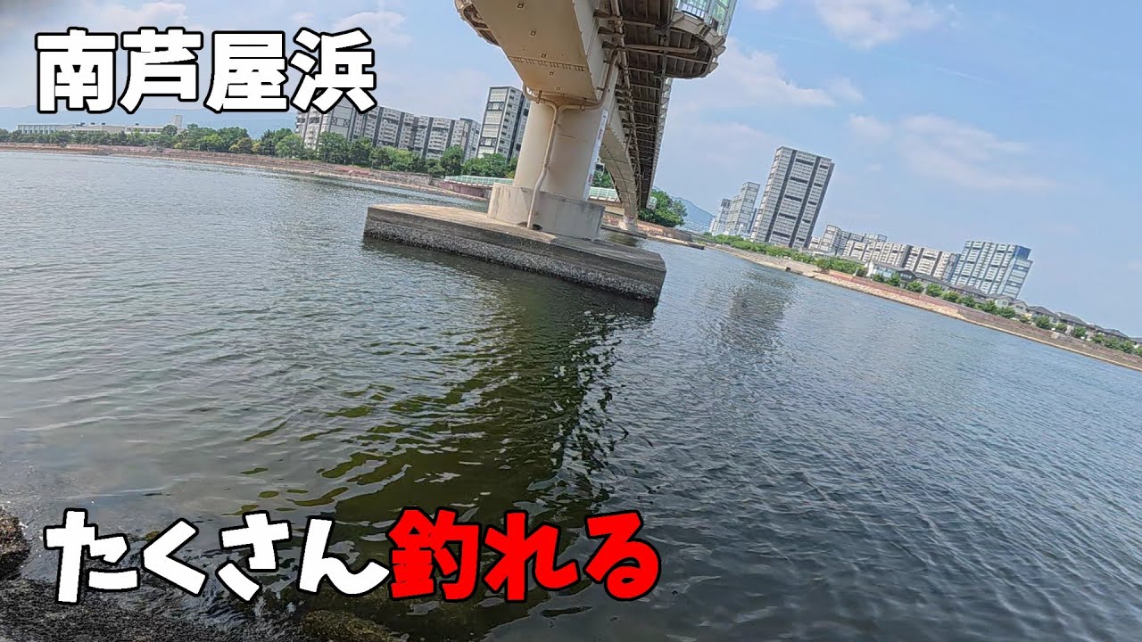 初心者おすすめ南芦屋浜で昼間にたくさん釣れる釣りはコレだ！