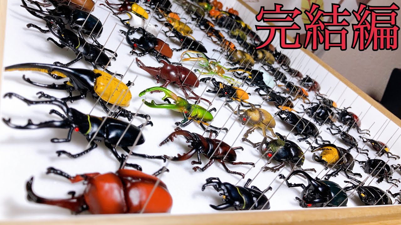 【ムシキング】甲虫図鑑のフィギュアがフルコンプしたので標本にして飾っていく。