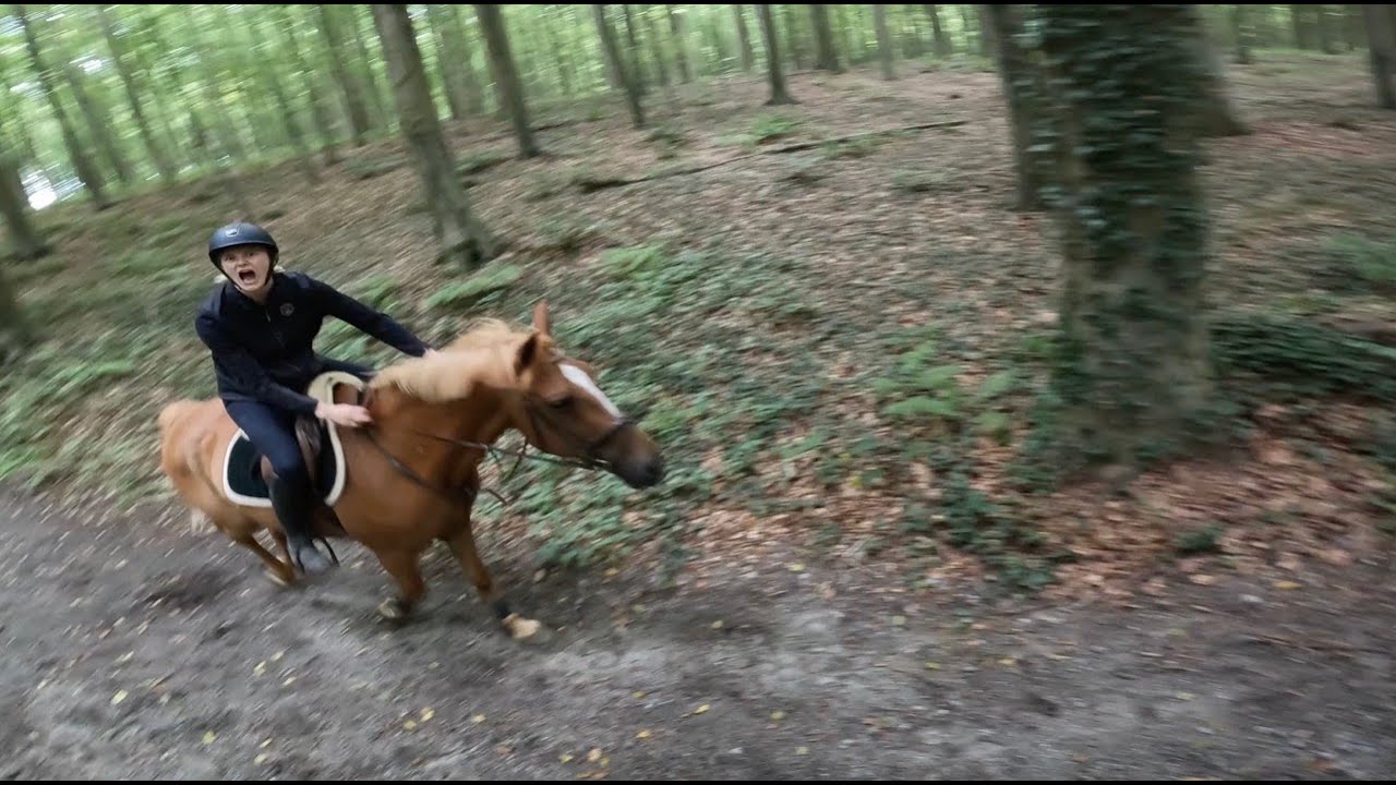ШУТКИ ВЕРХОМ НА ЛОШАДИ🤪 | камера на шлеме