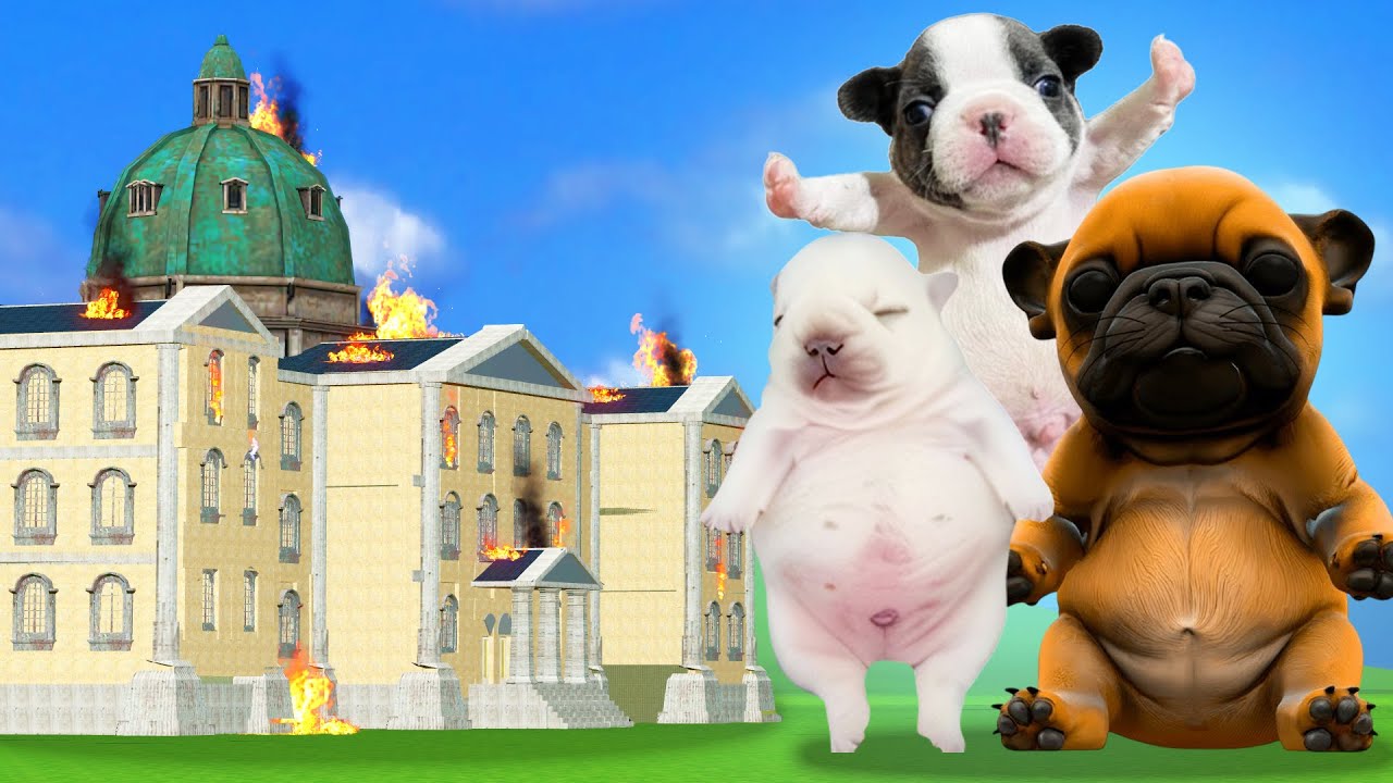 Can PIBBLE break into my FORT?! - Garry's Mod