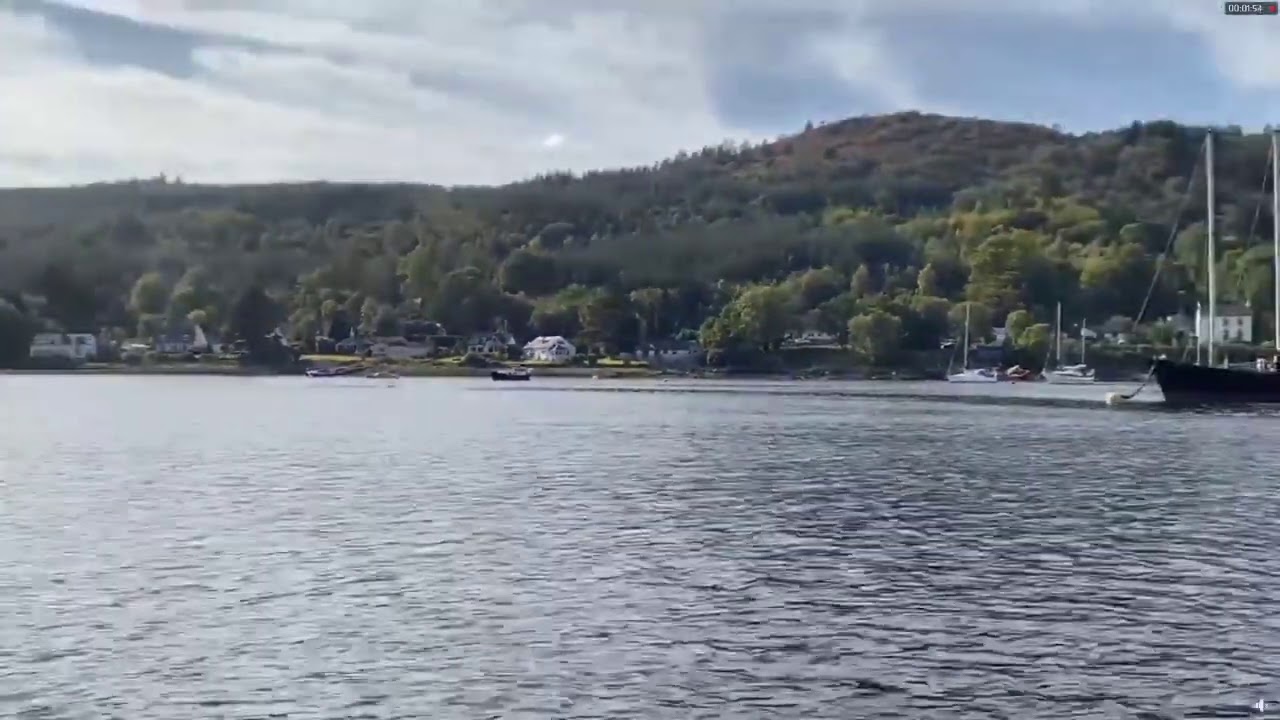 Whales in the Gareloch