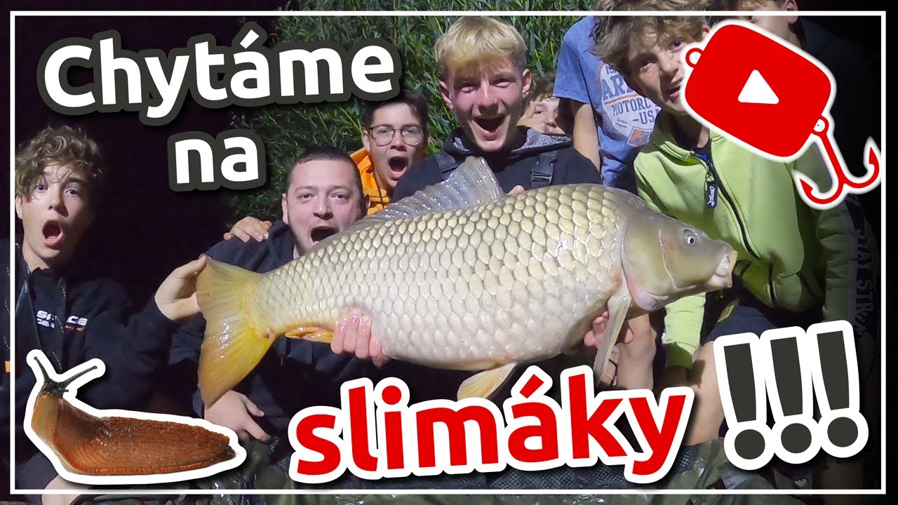 Jak chytat ryby na slimáky?🐌 Je slimák účinná nástraha? | Lov kaprů | Lov amurů | rybarsketabory.cz