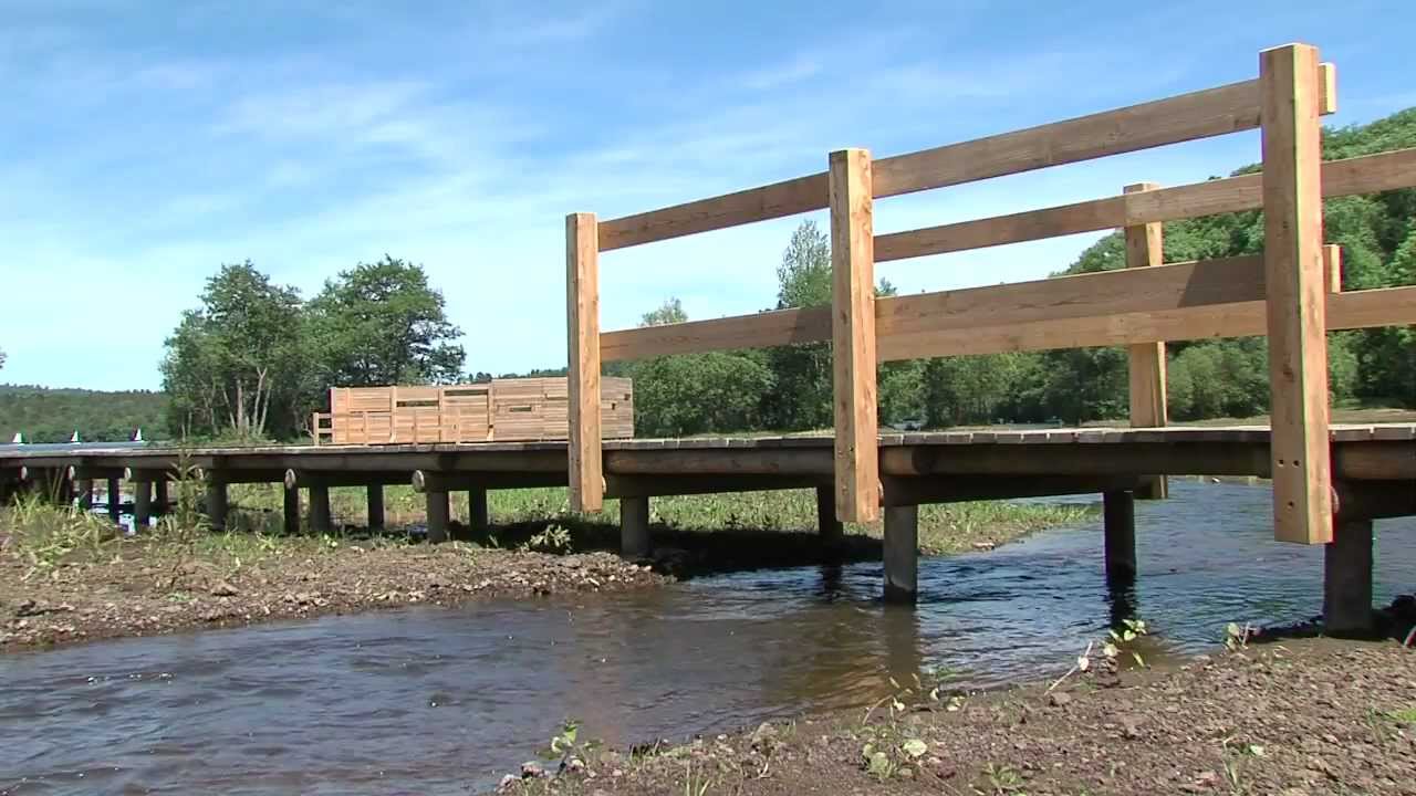 Chronique d'une zone humide oubliée - Lac d'Aydat (63) - SMVVA
