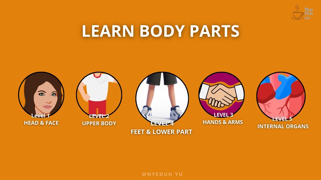 Learn All Body Parts in English in Just 2 Minutes 🧠
