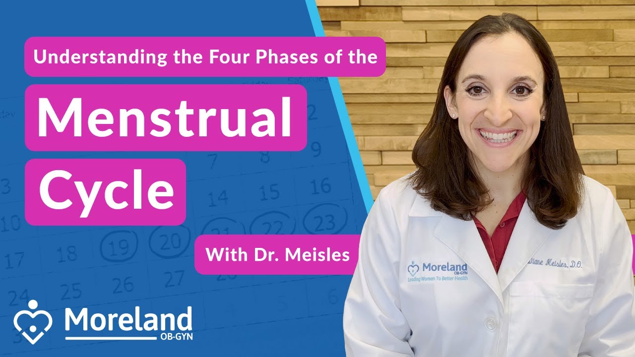 The Four Phases of the Menstrual Cycle Explained