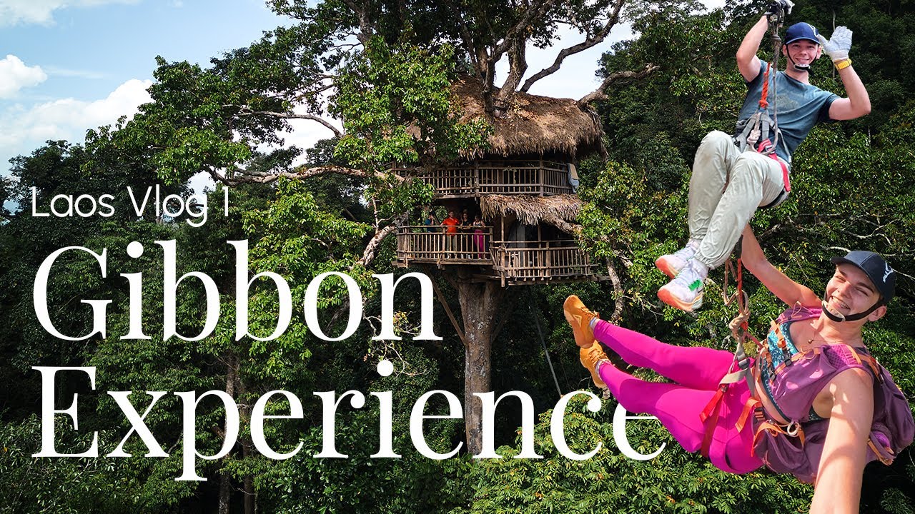 Unser Highlight in Laos: Ziplining durch den Dschungel & Übernachten im Baumhaus | GIBBON EXPERIENCE