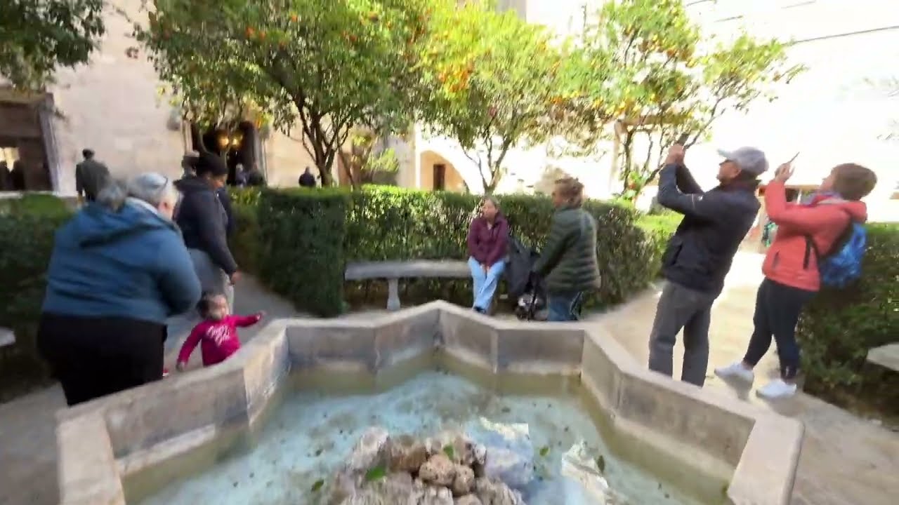 Walking Tour - La Lonja de la Seda de Valencia