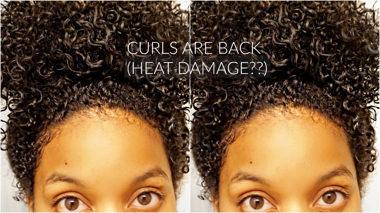 Watch My Curls Revert (Straight to Curly) on Natural Hair