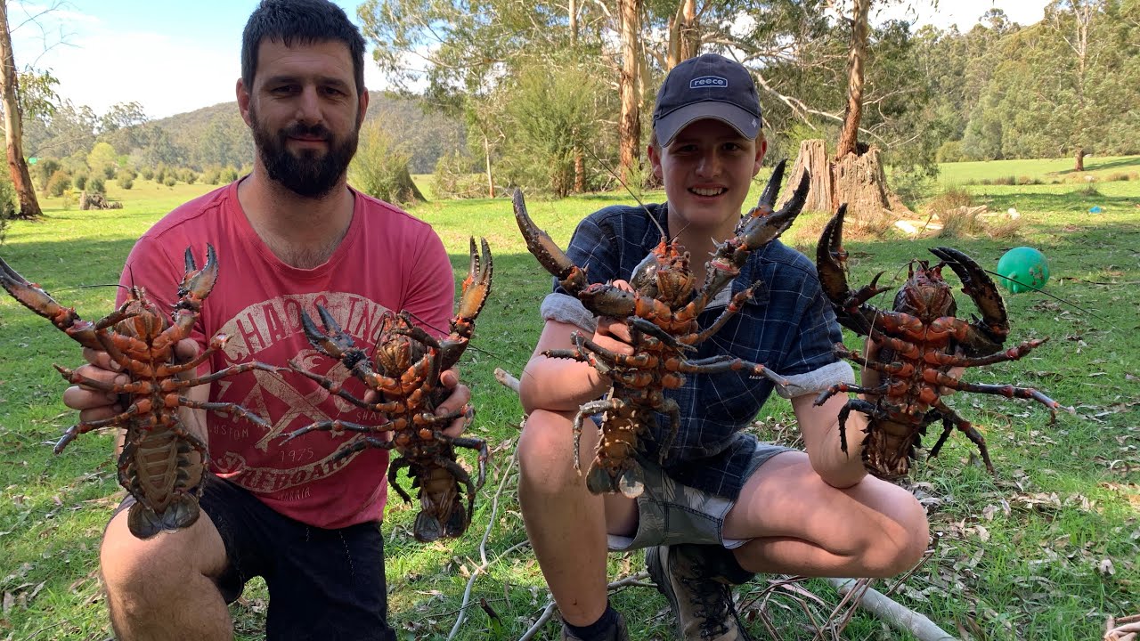 Good haul of fresh water crayfish