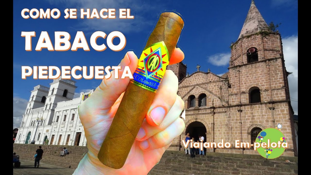 ✅COMO SE HACE EL TABACO. PIEDECUESTA
