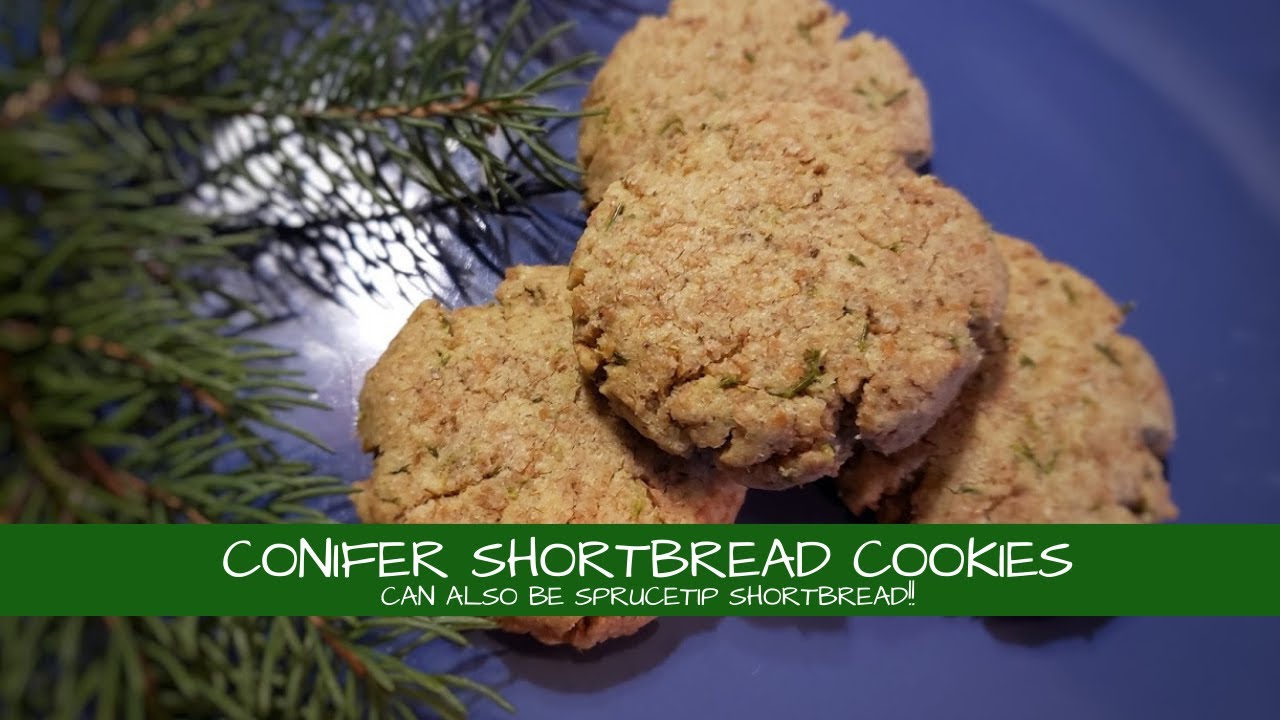 Conifer Needle (or Spruce Tip) Shortbread ~ A Yuletide Tradition