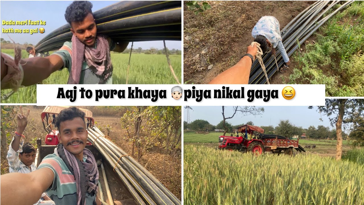 Aaj Pura Khya Piya Nikal Diya 😂traditional farming in india 🇮🇳 #india #farmar #vlog 