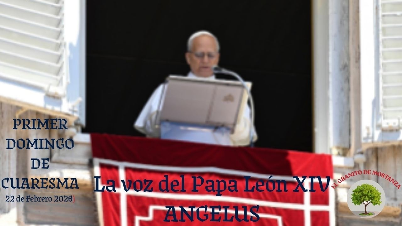 PAPA LEON XIV EN EL ANGELUS DE ESTE PRIMER DOMINGO DE CUARESMA.
