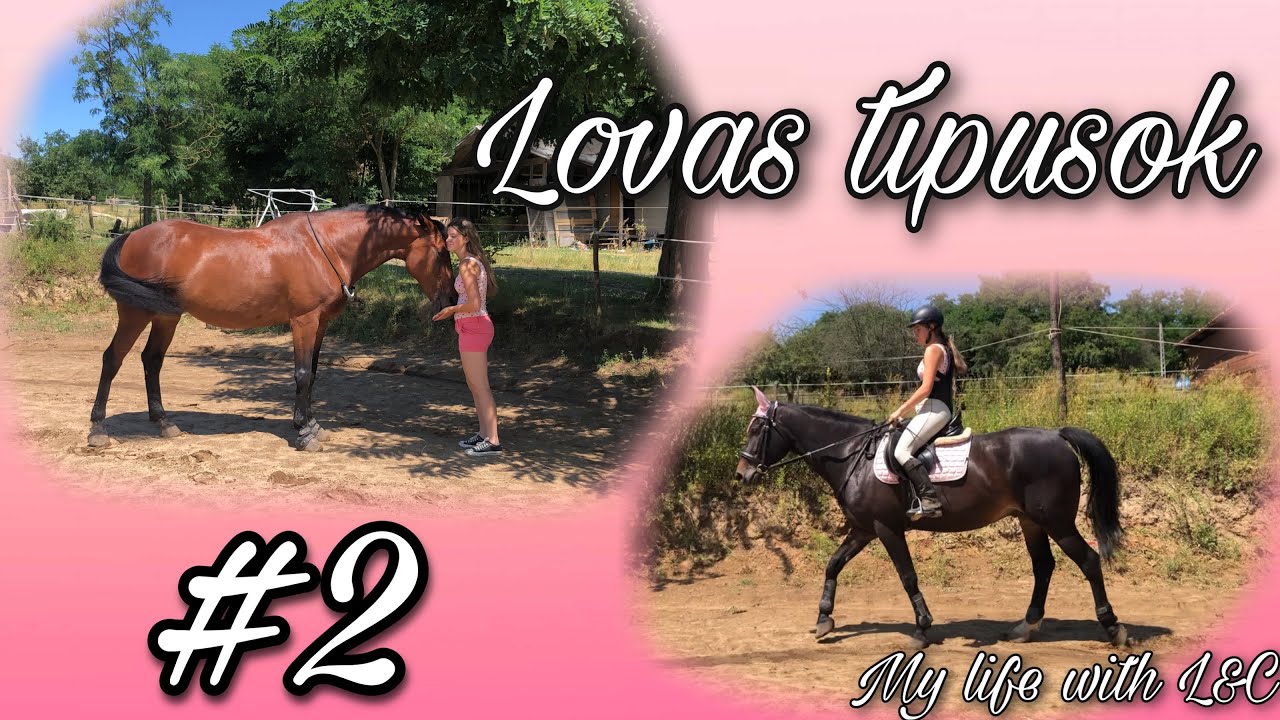 Lovas típusok #2 || My life with L&C