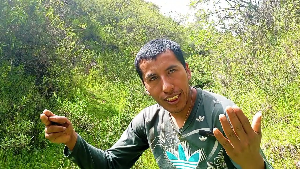 Como crecer en youtube para un principiante - por 5 tick recomendables
