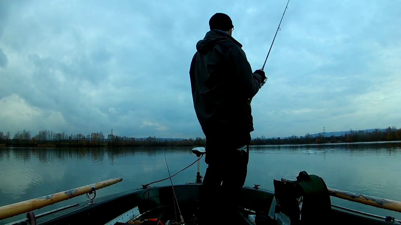 Hecht 25.11.2017 Steinsee Neuwied