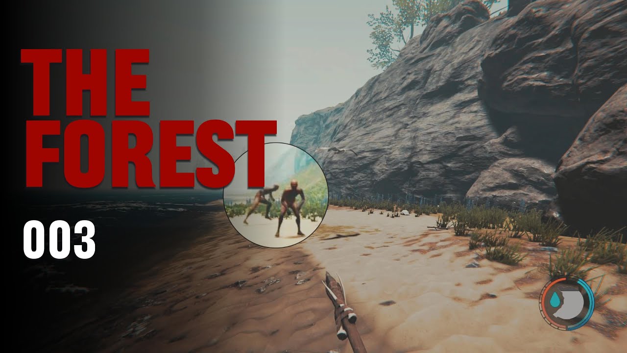 Beobachtet – The Forest #003