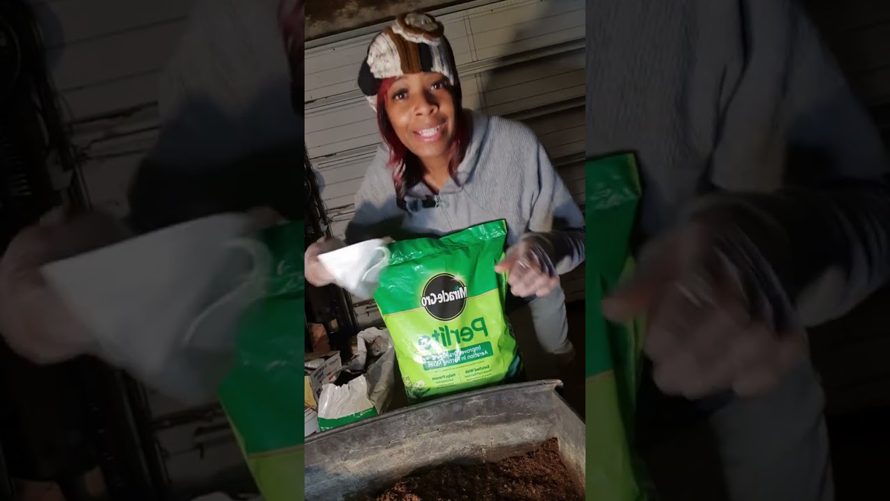 🛑 QUIT buying seed starting mix when you can make it!!!