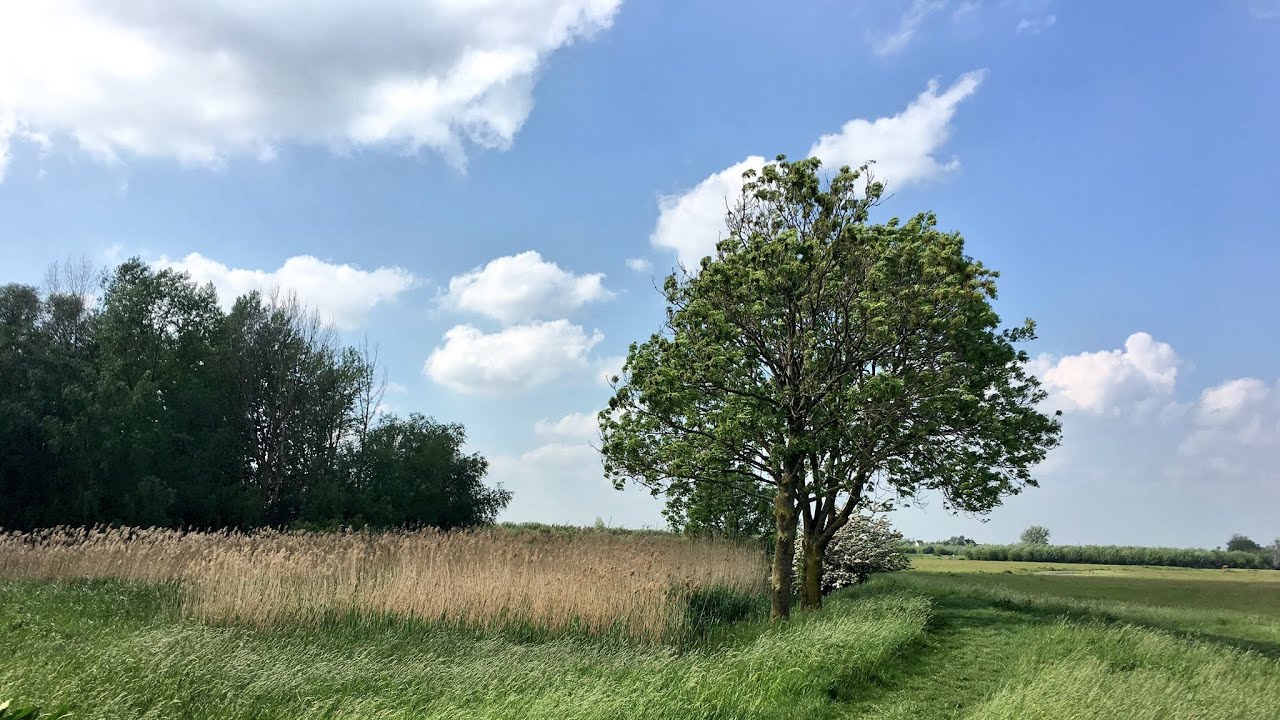 Lekker wandelen in het Natuurgebied Avelingen in Gorinchem : een reportage van Catherine Boone