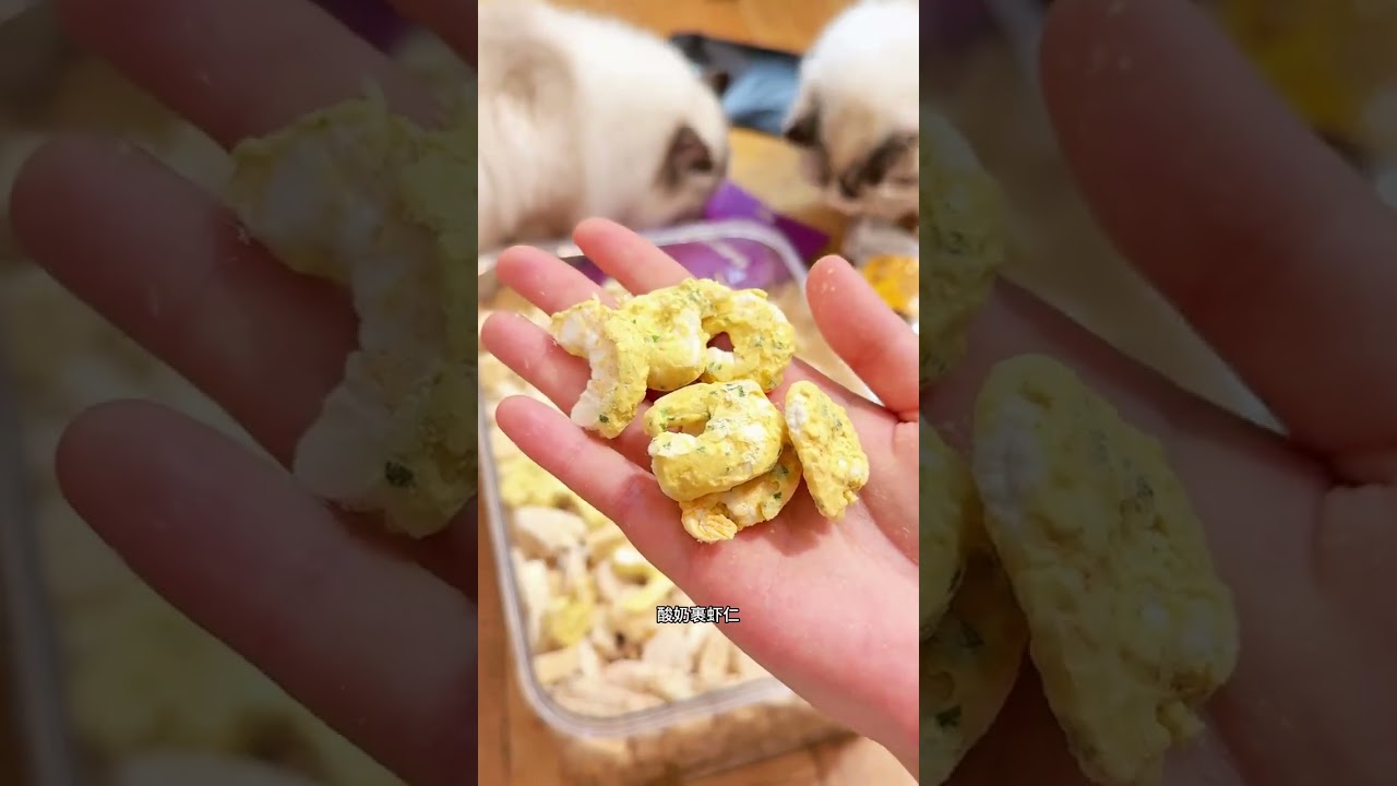 mix 𝟏𝟑𝟔 jin of cat with 𝟐𝟎 jin of Supreme seafood bucket #Su Xing baked cat food#Recommend
