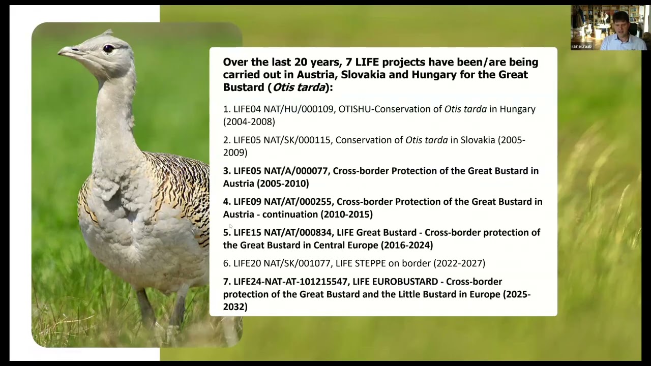 LIFE Great Bustard Case Study: High & medium voltage cable under grounding for conservation