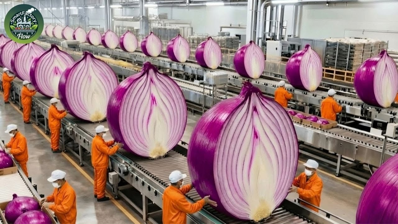 Inside the Largest Onion Factory in the US: From Raw Onions to Premium Powder
