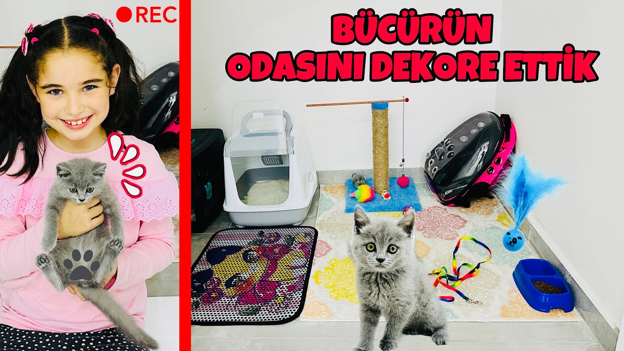 KEDİMİZ BÜCÜRE ODA YAPTIK !! YENİ EŞYALARINI YERLEŞTİRDİK !! BÜCÜRE ODA DEKORASYONU !!