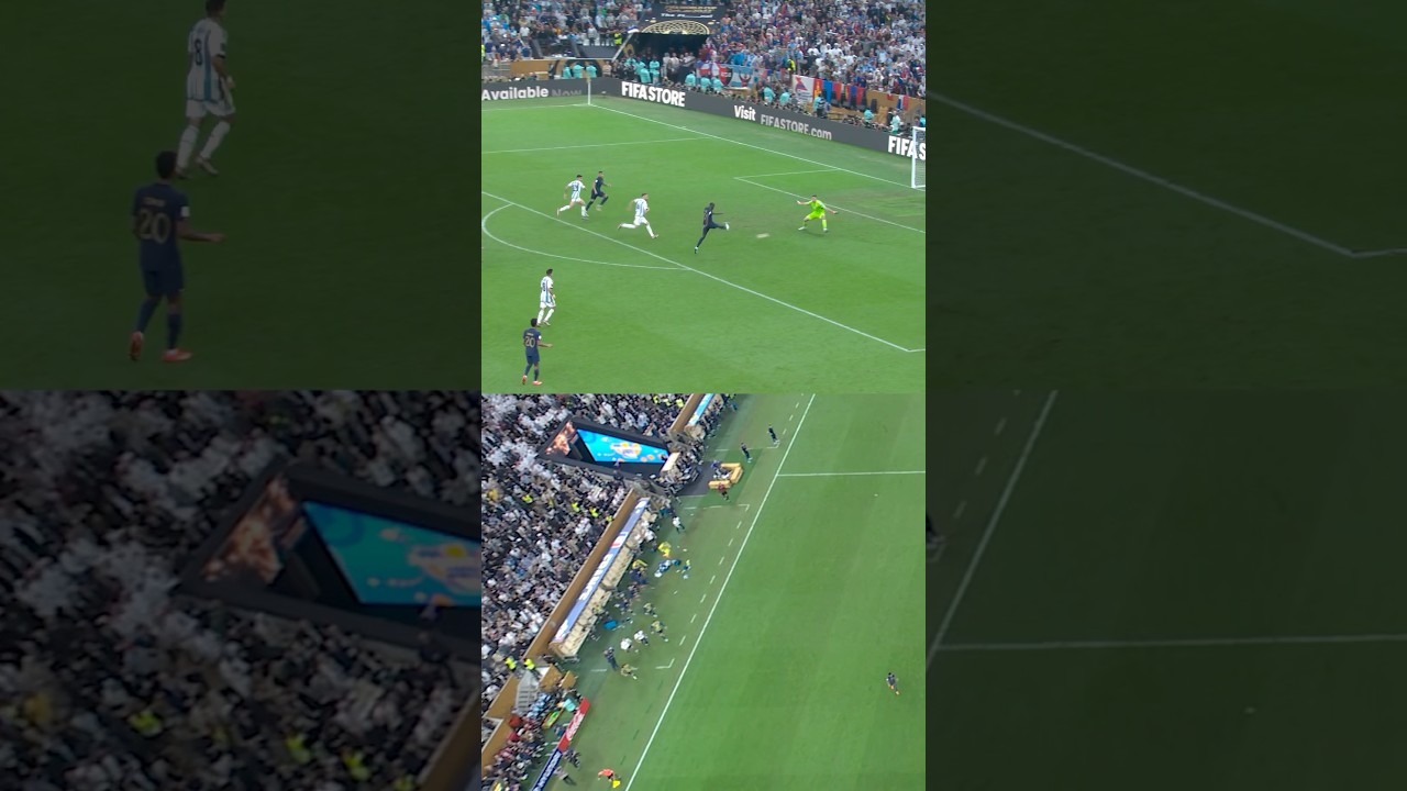 France&rsquo;s reaction to Martinez&rsquo;s save