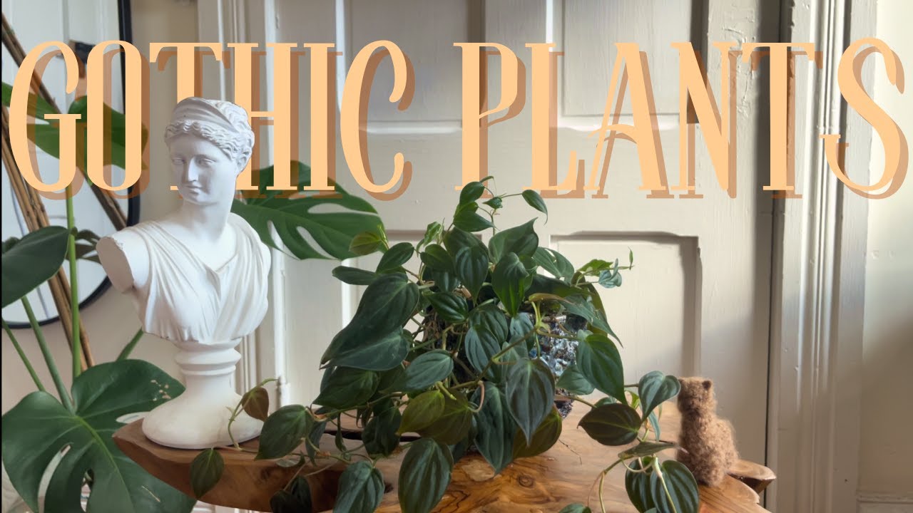 A Tour of My Gothic Plants