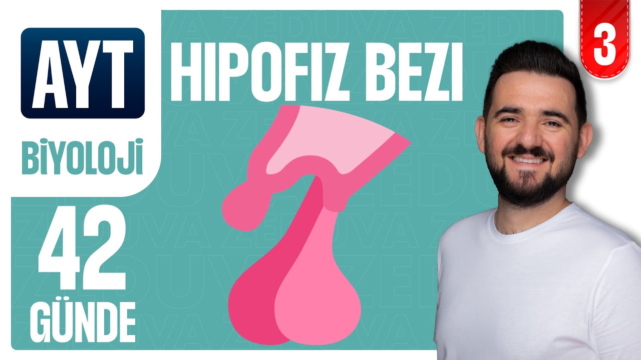 Hipofiz Bezi | 42 G&Uuml;NDE AYRINTILI AYT BİYOLOJİ KAMPI 2026-2027 | 3.G&Uuml;N