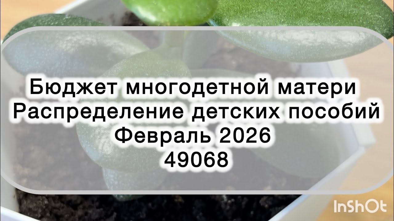Февраль #3 Распределение детских пособий 
